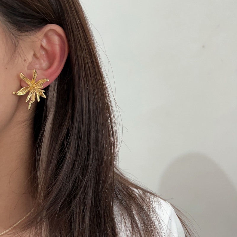 Joyería de moda, pendientes de - Women'S Accessories Jewelry Sale reseña y precio